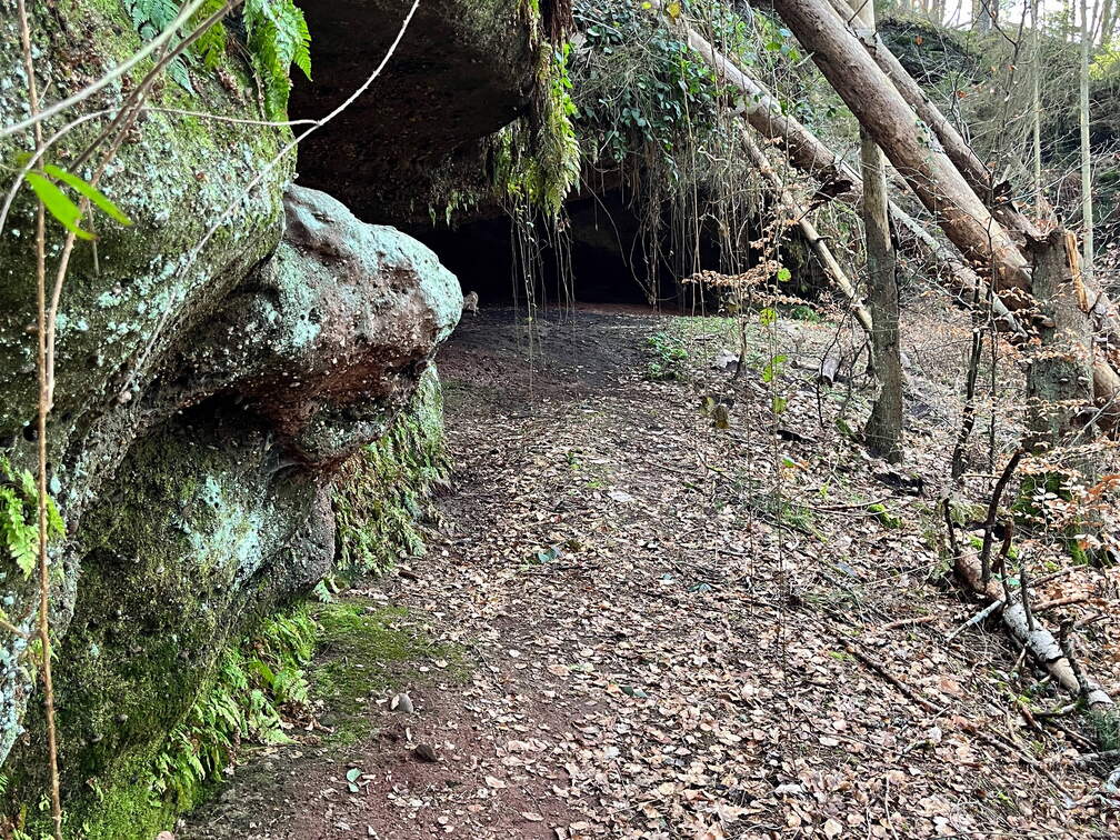 24-02-28 13-48-49 8783